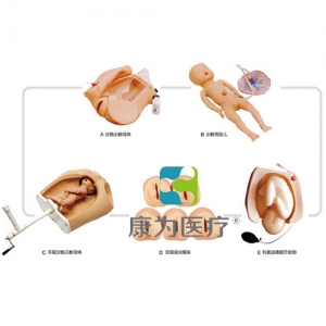 “康為醫(yī)療”高級腹部觸診、分娩機轉(zhuǎn)綜合模型