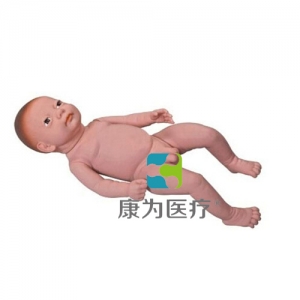 “康為醫(yī)療”高級足月胎兒模型（男嬰、女嬰任選）