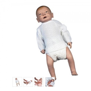 德國3B Scientific?哺乳嬰兒護(hù)理模型，男