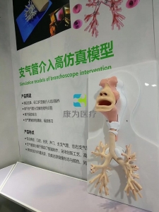 支氣管鏡介入高仿真模型，支氣管鏡介入模擬器