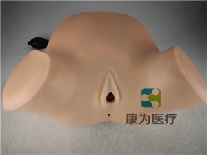 高端產(chǎn)科四步觸診、肛查、陰道檢查訓(xùn)練模型