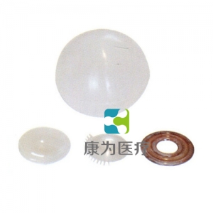 “康為醫(yī)療”晶狀體，虹膜，角膜，玻璃體