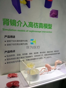 泌尿外科手術(shù)模擬器,泌尿系統(tǒng)結(jié)石手術(shù)介入模擬器-腎軟鏡介入模擬系統(tǒng),腎結(jié)石軟鏡手術(shù)模擬裝置，腎鏡介入手術(shù)仿真模型