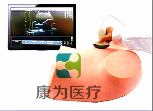 超聲引導下羊膜穿刺術(shù)訓練模型