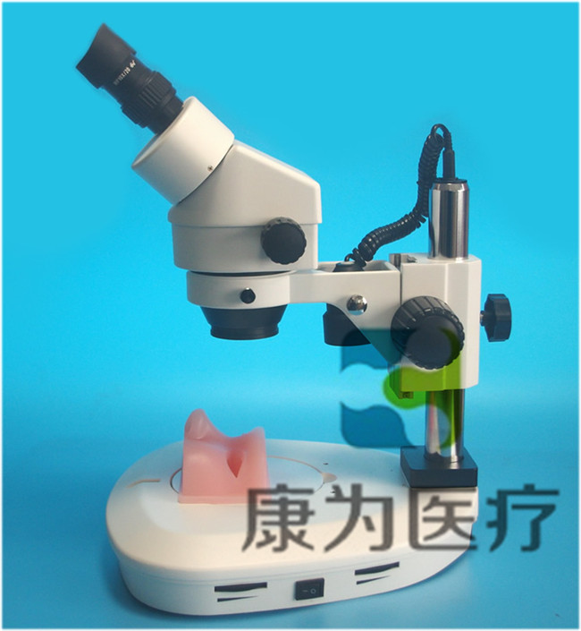 眼科顯微手術(shù)訓練模擬器（視網(wǎng)膜、白內(nèi)障手術(shù)）