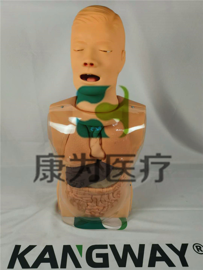 高級鼻淚管通液訓練模型,淚道沖洗訓練模型,淚道探通術訓練模型