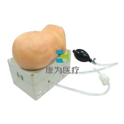 兒童腦積液穿刺訓(xùn)練模型，側(cè)腦室穿刺引流術(shù)仿真訓(xùn)練模型