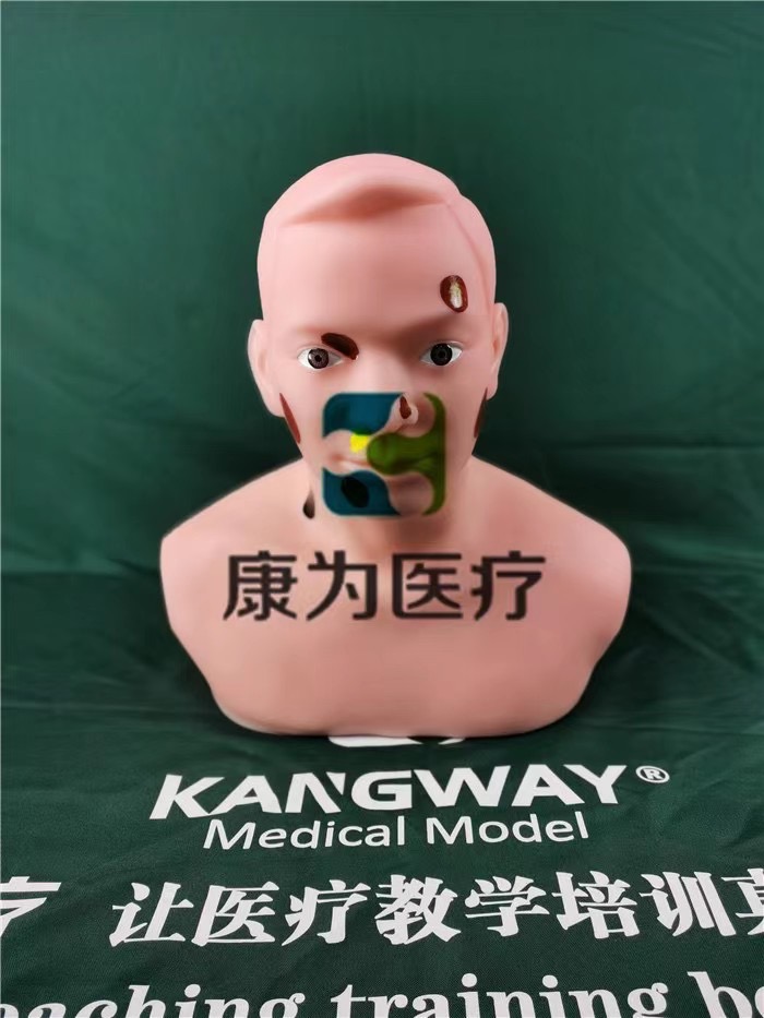 甲狀腺穿刺技能訓(xùn)練模型，甲狀腺穿刺技能訓(xùn)練模型新品.jpg